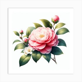 Flower of Camellia 3 Art Print