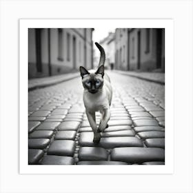 Siamese Cat Walking On Cobblestone Street Art Print