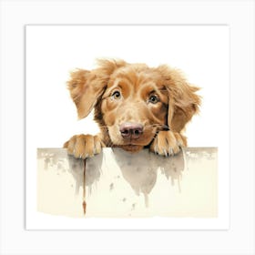 Golden Retriever 15 Art Print