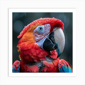 Colorful Parrot In The Rain Art Print