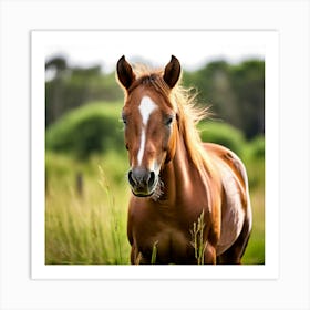 Grass Horse Mammal Animal Head Steady Offspring Beauty Riding Horse Mare Dam Cute Streng (6) Art Print