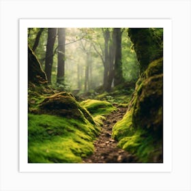 Mossy Forest 1 Art Print