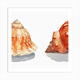 Two Seashells Art Print