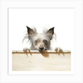 Dog Peeking Over A Fence Art Print