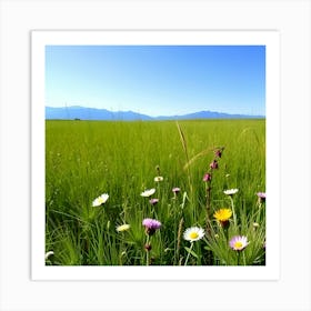 Wildflowers In A Field Art Print