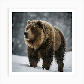 Brown Bear In The Snow Art Print