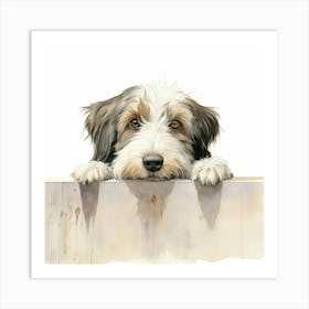 Tibetan Terrier Dog 3 Art Print