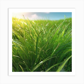 Green Grass In The Sun 1 Art Print