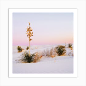 Pastel White Sand Sunset Art Print