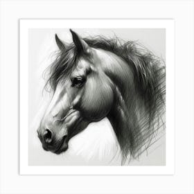 Horse Head Drawing in charcoal Art Print