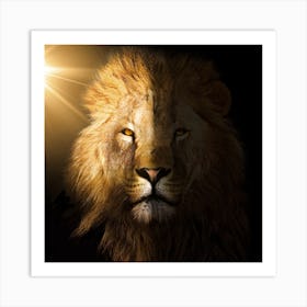 Lion 1 Art Print