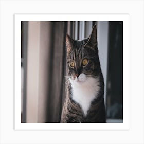 Cat Sitting On Window Sill Art Print