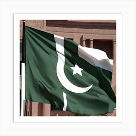 Pakistan Flag 1 Art Print