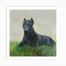 Black Pitbull Painting Art Print