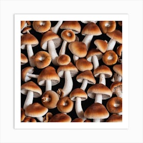 Mushrooms On Black Background 2 Art Print