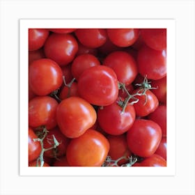 Ripe Tomatoes Art Print