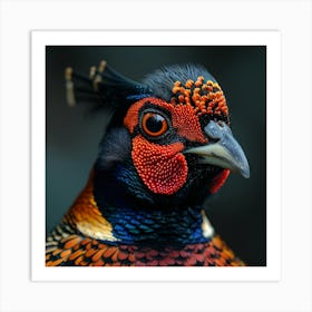 Pheasant 2 Art Print