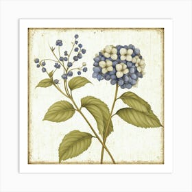 Hydrangea Art 2 Art Print