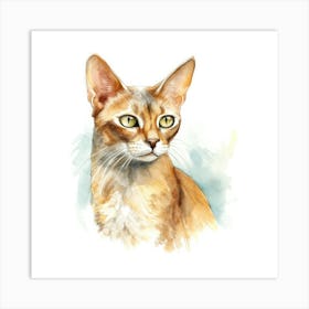 Abyssinian Cat Portrait 3 Art Print