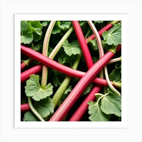 Rhubarb 81 Art Print