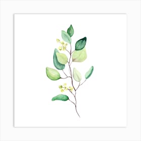 Eucalyptus Branch Art Print