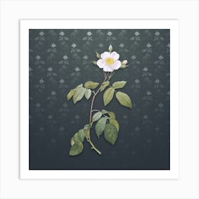 Vintage Big Leaf Climbing Rose Botanical on Slate Gray Pattern n.0751 Art Print