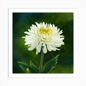 Chrysanthemum 1 Art Print