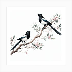 Magpies 1 Art Print