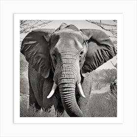 Black And White Elephant Art Print