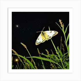 Moth At Night Art Print