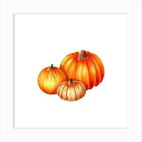 Three Pumpkins 1 Art Print