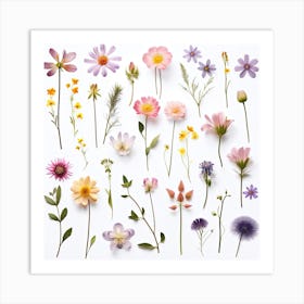 Dried Wild Flowers 28 Art Print