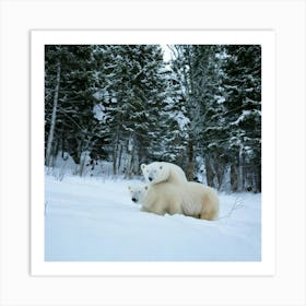 Firefly Bear, Mama, Cubs, Snow, Winter, Beautiful, Wildlife, Family, Nature, Forest, Snowy, Serene, (10) Art Print