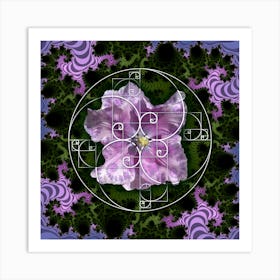 Sacred Geometry Fibonacci Spiral Flowers 4 Poster