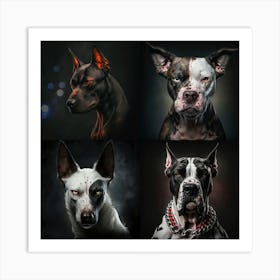 Four beautiful dogs Art Print