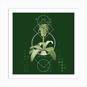 Vintage Eucomis Regia Botanical with Geometric Line Motif and Dot Pattern Art Print