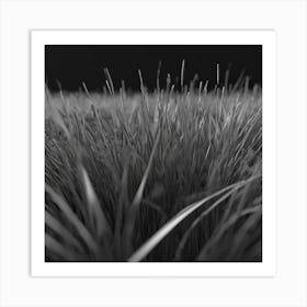 Grassy Field Art Print