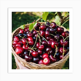 Cherry In A Basket Art Print