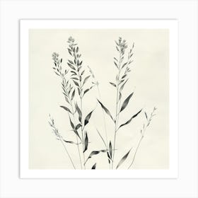 'Grasses' Art Print