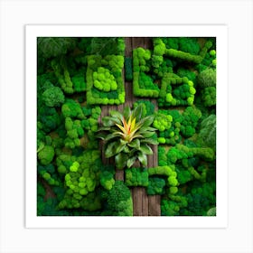 Moss Garden Art Print