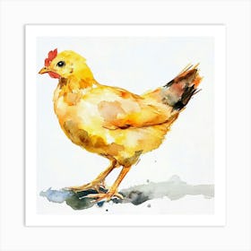 Chicken Watercolor Painting Art Print