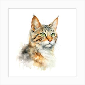 Kashmir Cat Portrait 1 Art Print