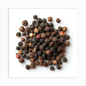 Black Pepper 1 Art Print