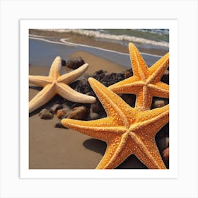 Starfish On The Beach Art Print