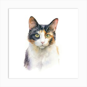 Bicolor Cat Portrait 2 Art Print