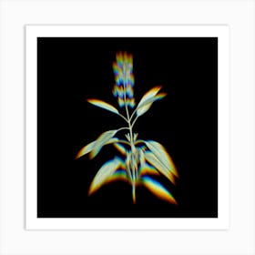 Prism Shift Sage Plant Botanical Illustration on Black Art Print