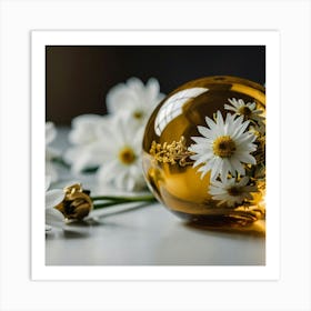 Daisies In A Glass Ball Art Print