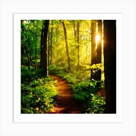 Path In The Woods 1 Art Print