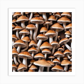 Many Mushrooms In The Forest Art Print