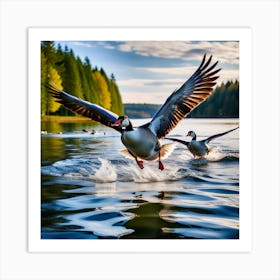 Geese Take Off Above The Surface Of The Water In A Lake Creating Water Geometric Shapes With Its Le Art Print